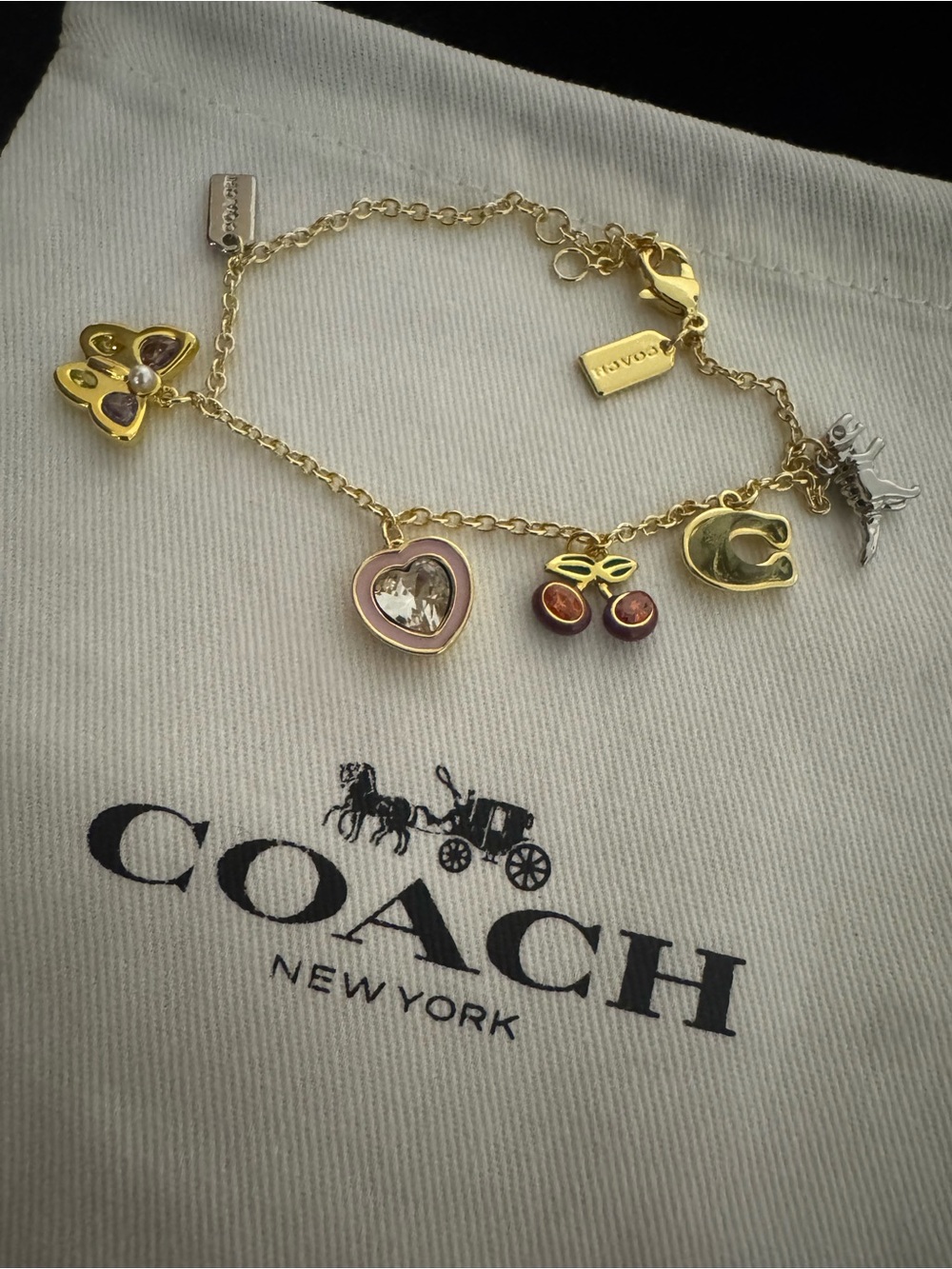 Coach Gold-Tone Charm Bracelet with Pink Heart Charm, Dino charm, Cherry charm